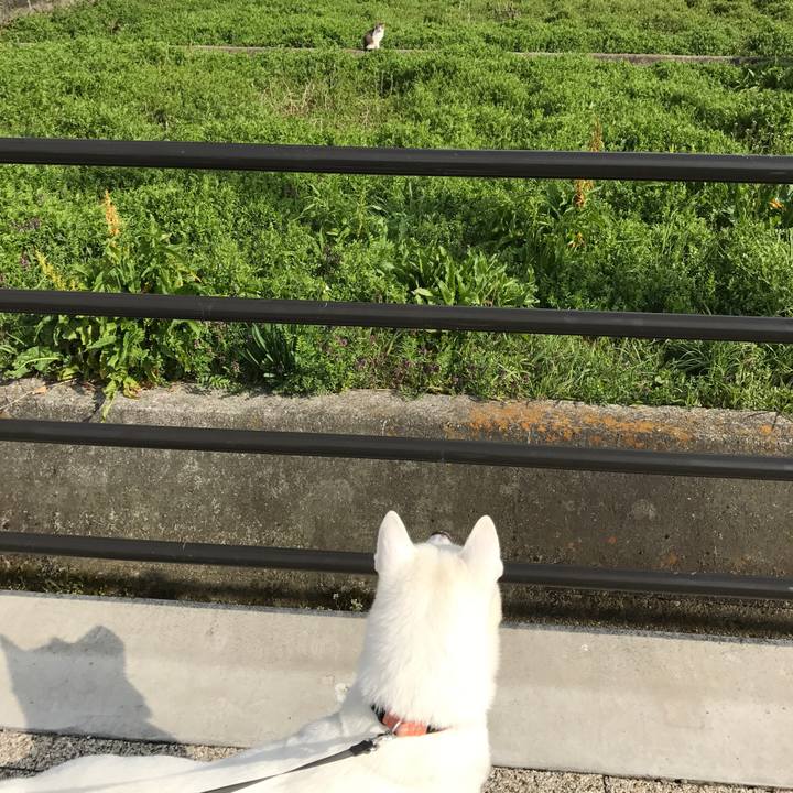 Badde0f9 94fa 4c1d ac20 e963bdae17c2