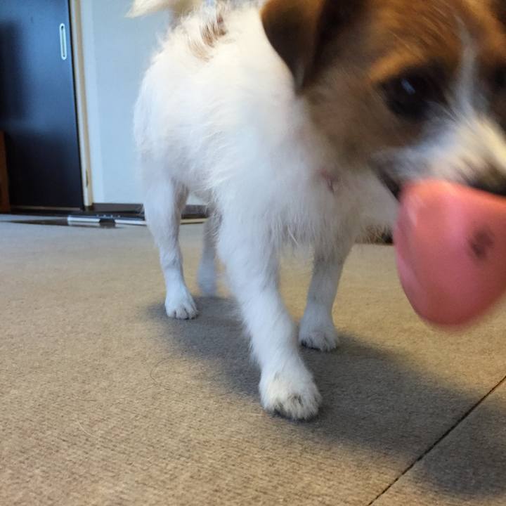 Bade5744 30d9 400f aeed c5b8369a663a