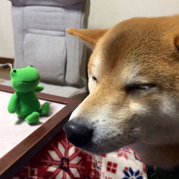 Badeda84 4708 44d4 80e4 a0ec4dc3ce60