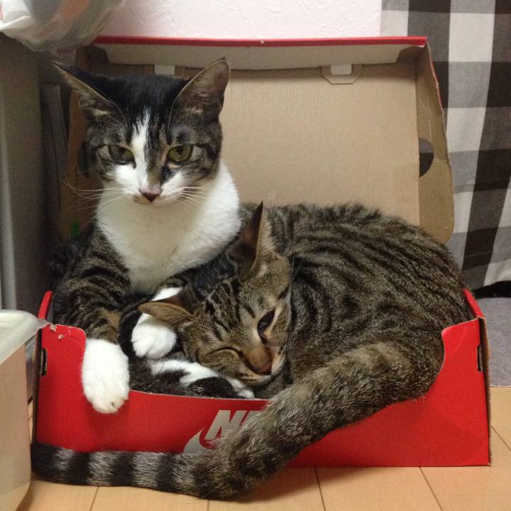 Badedbe6 17a8 4e2b 9425 37ad43c6d21d