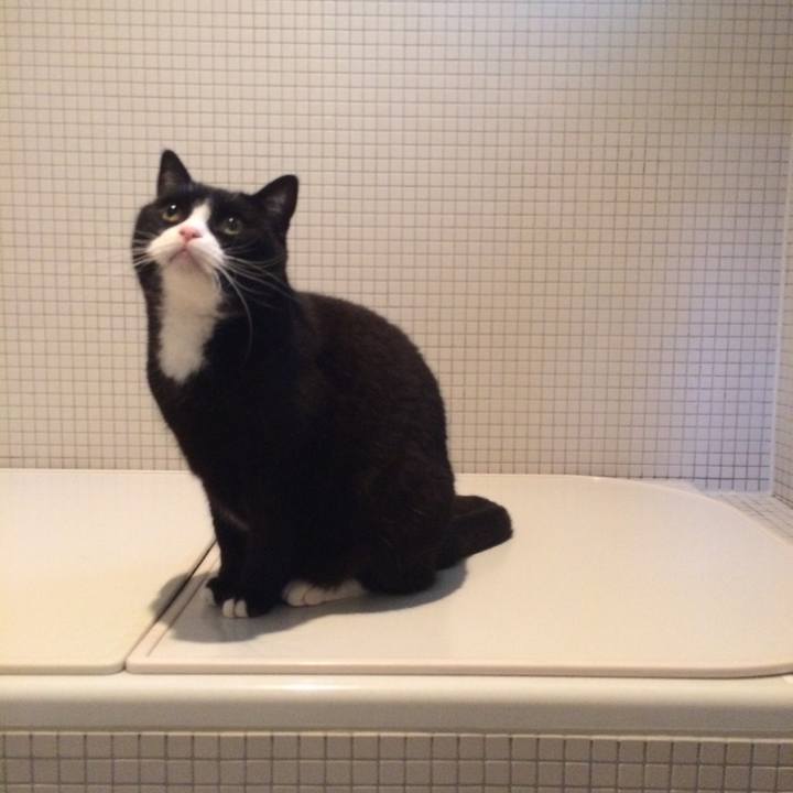 Badef517 aec7 45fc a40d 21b9bce5b935