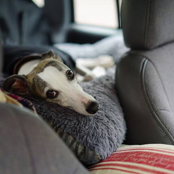 Badf24b9 c7d8 44d9 b62e ab14afabc754