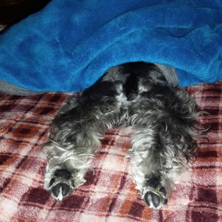 Badfcd3f 5703 4aee 894f 63a5251d1f03