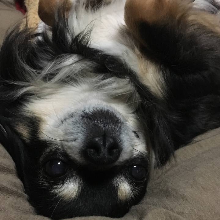 Bae01ac6 7058 4300 a7d8 40c553931966