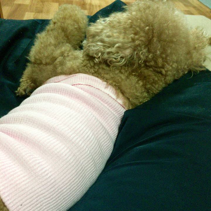 Bae0c5b2 6a5f 454c a6e6 0330055d617f