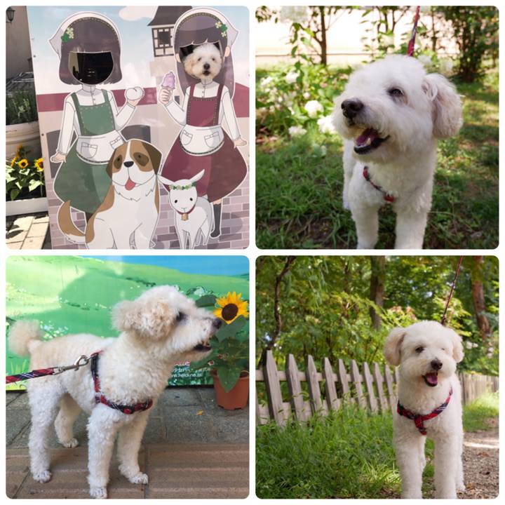 Bae11638 7f88 449c 929d a375493df1fa