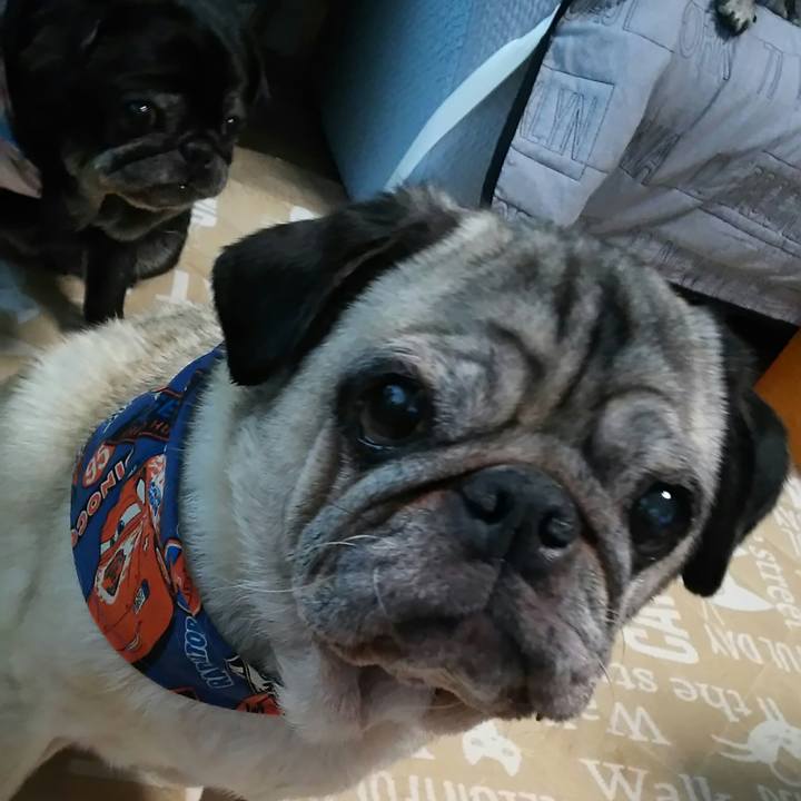 Bae14b1e fbfc 45f8 8e1b 4ef4b05bf145