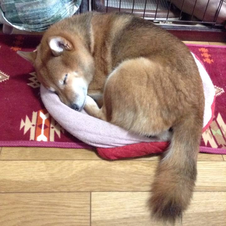 Bae1a748 8378 4e27 9149 2de20d9ad8a3