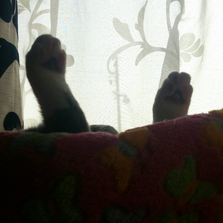 Bae2120d f6ca 4321 86d0 02ebc4953941