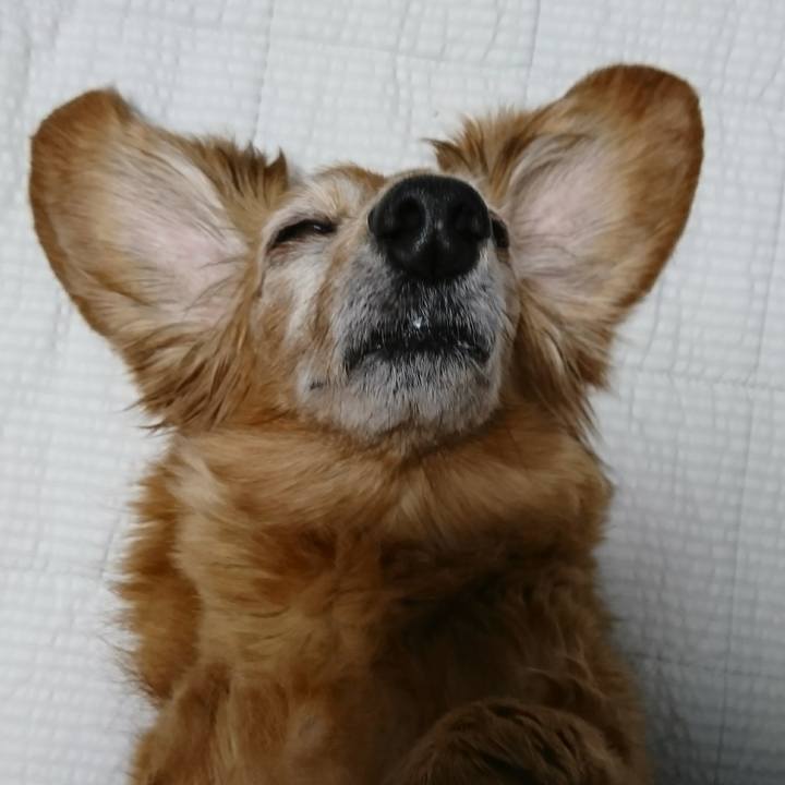 Bae26e94 d51c 407e 9b6f f45dd8d5db45