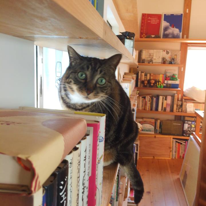 Bae2721c d167 44ab 8257 258db0cc1849