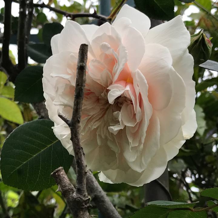 Bae29cd5 eff0 4fc1 8fbc aa000e5bd0be