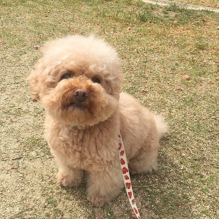 Bae398f3 e891 4f71 87c8 3fd6121588fc