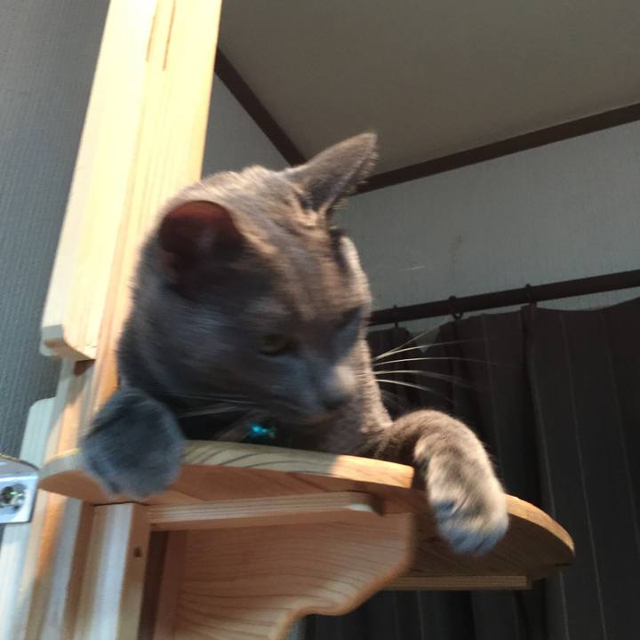 Bae3b3b3 d2bc 447f a429 8e624e3efb13