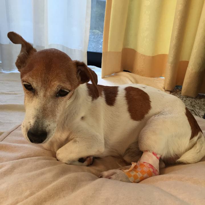 Bae45809 676a 44a1 91e1 73e49df71d3a