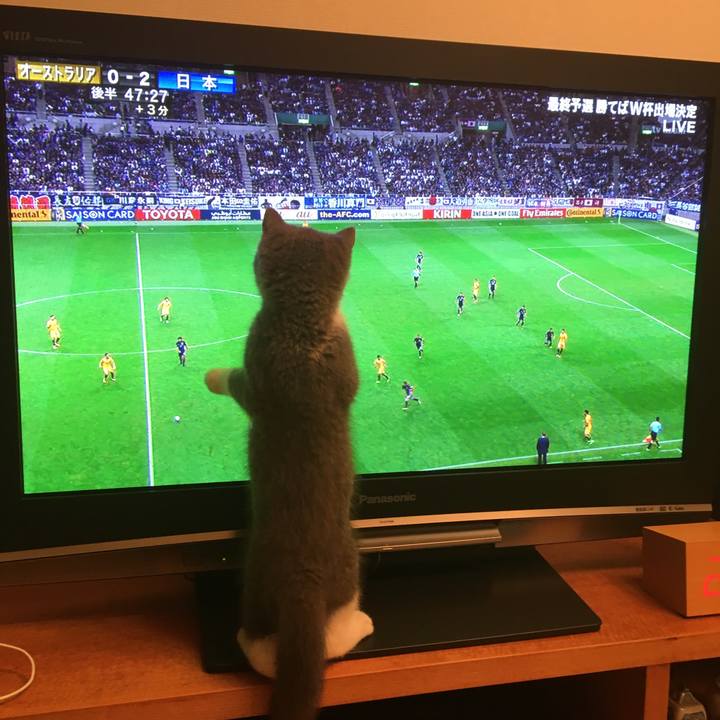 Bae4d8b4 51ba 498d af0e 44e28623a235