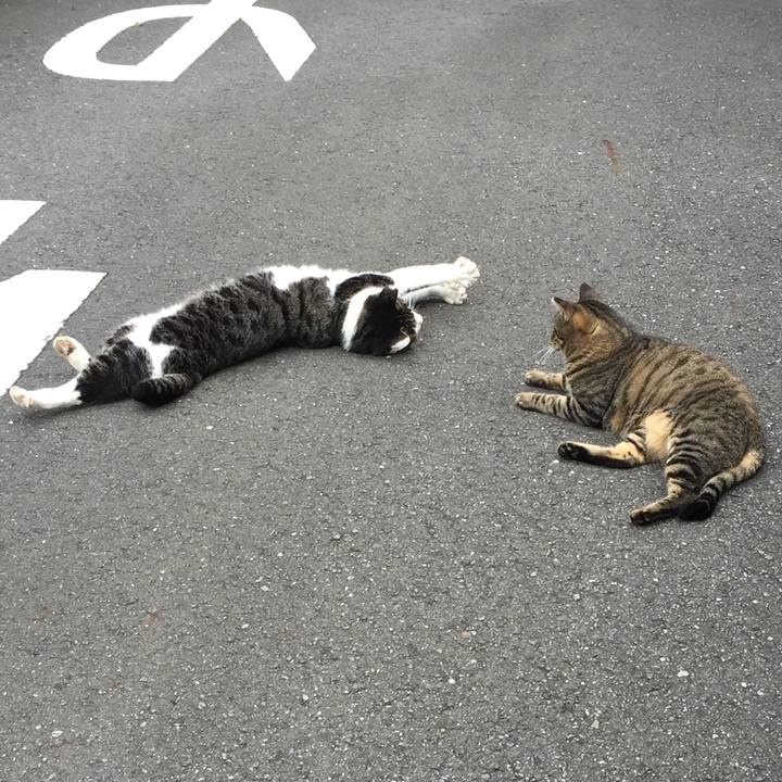 Bae5062b f2c9 443b 95b4 2efb760f541e