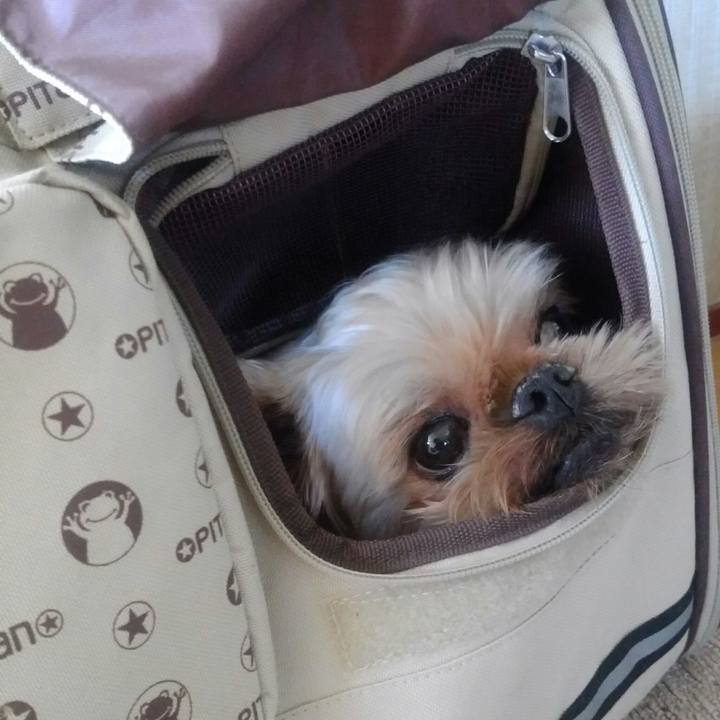 Bae53b52 2d4c 47c8 8cb2 73c5c77b03e3