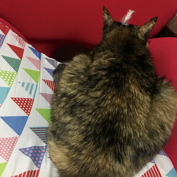 Bae557cd 8c8c 41d4 8d6d e4a5c34c762f