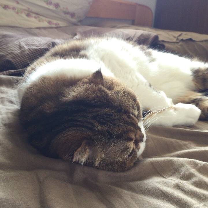 Bae599a1 bfc1 4b09 8cc0 a69dd111d8c5