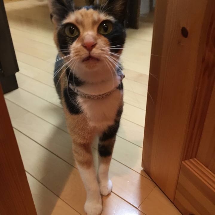 Bae5af4c df67 4ff8 b574 3e1309e6586d