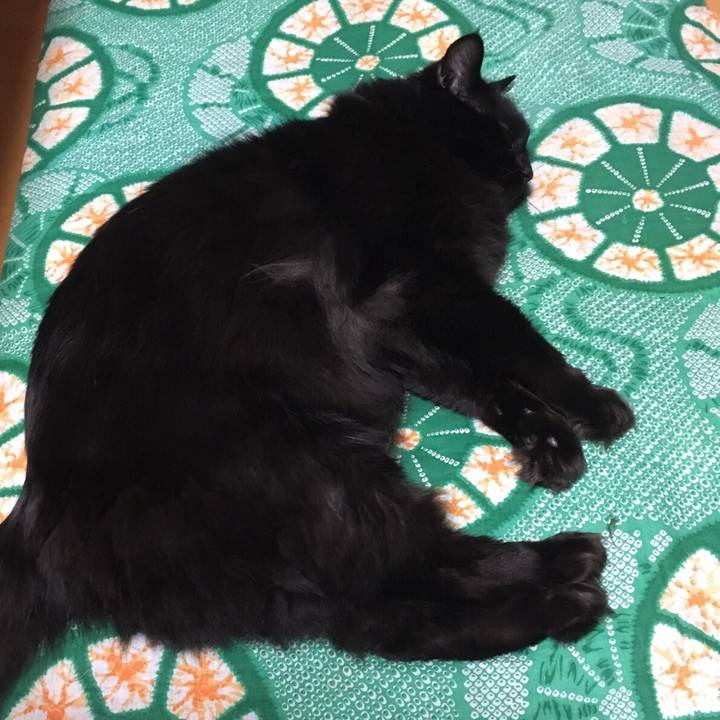 Bae5fed5 29e2 4635 b1c4 c99ccc9b359c