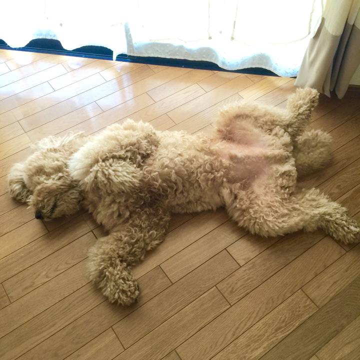 Bae62749 432a 4da2 93f2 aaf72f8ec3fd