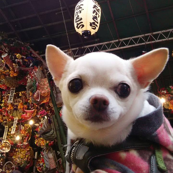 Bae6926c f282 4f20 beff 4b474c1ba6e3