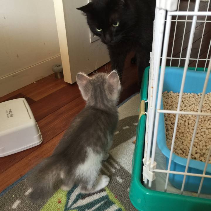 Bae6bd8b d578 4e5f 9f1b 866e8a433bde