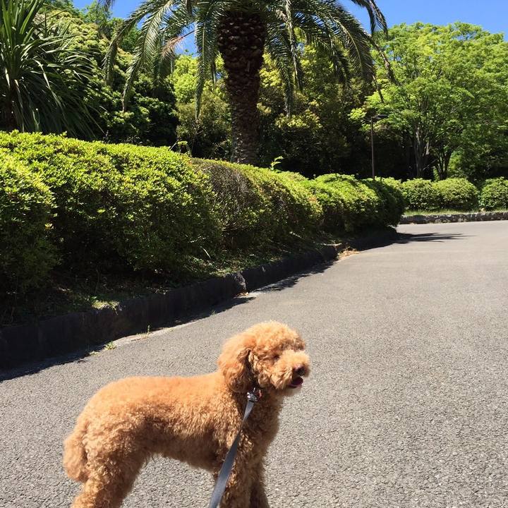 Bae6d389 9a4c 47bb 874c ae87b7f6bf1e