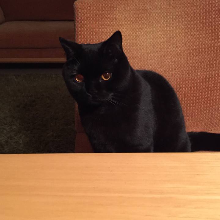 Bae6ed67 a3e0 4e6c b48e 510c1352c5ff