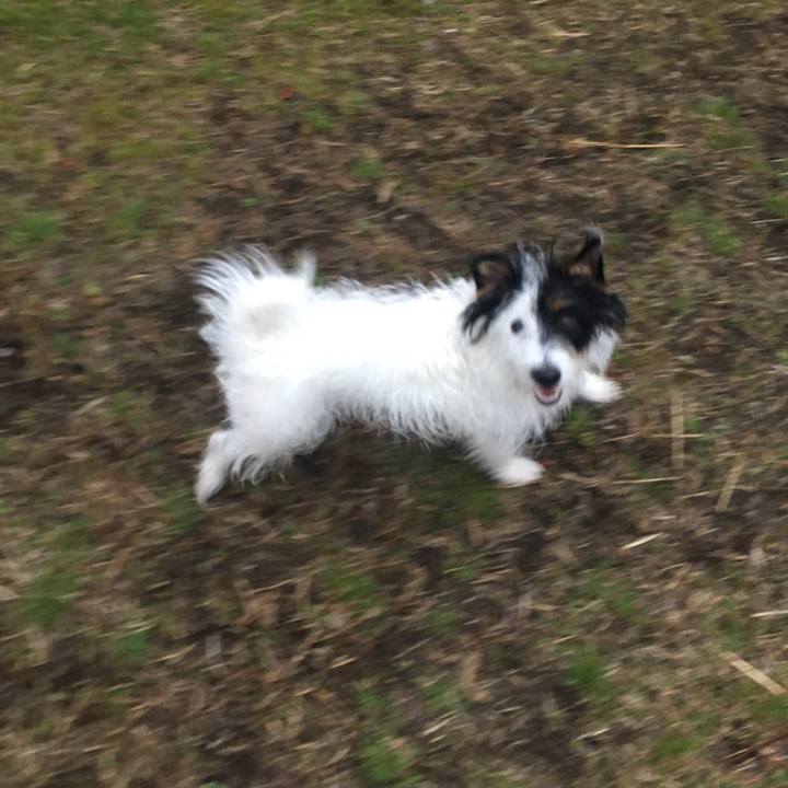 Bae84853 0319 475a ba5f 1a058d3e8678