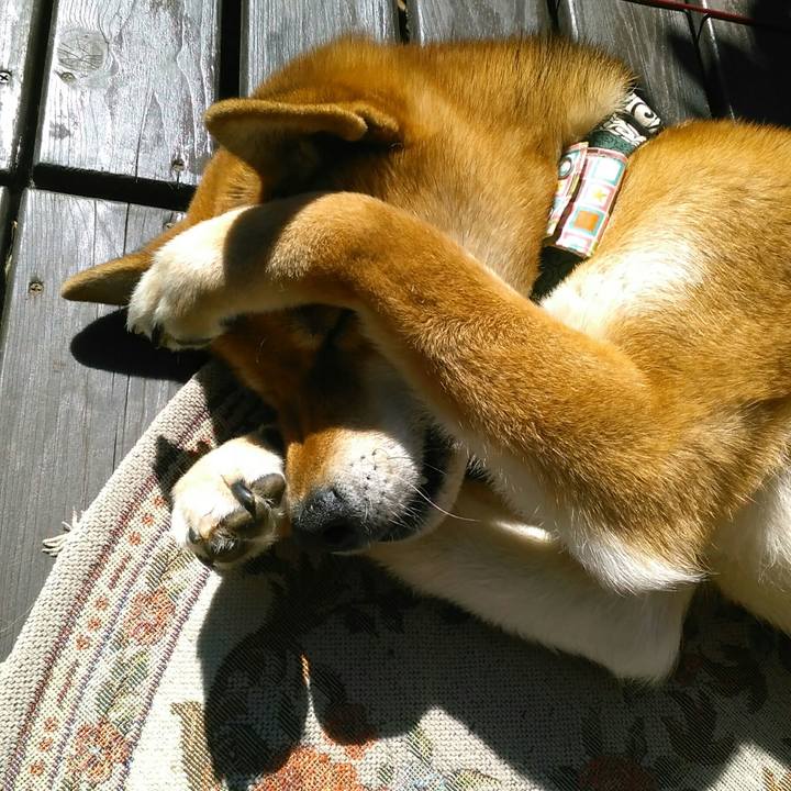 Bae87029 b7ec 40f9 b9c5 d97f7c606e8f