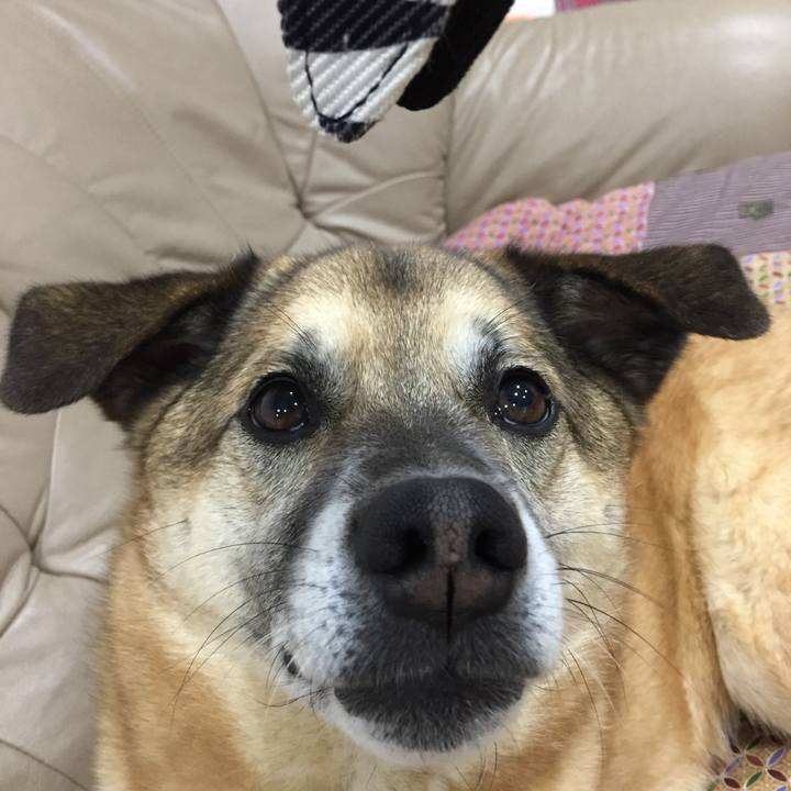 Bae8b395 1ecc 4922 b8cf b579d95b4b58