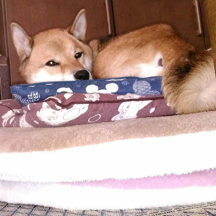 Bae96972 bd1d 4873 aff5 850b7acc6fba