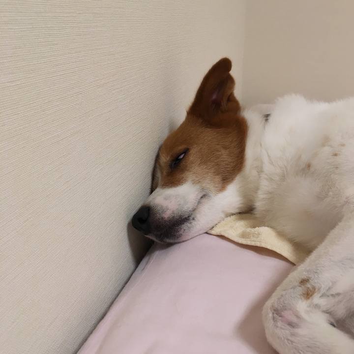 Bae982ab f2c1 45b2 ab02 fc348d209ce2