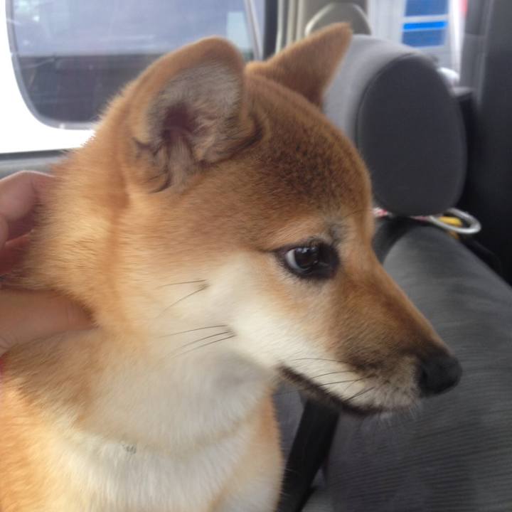 Baea79d3 7a2e 46b9 b474 e37fd80a7ba4