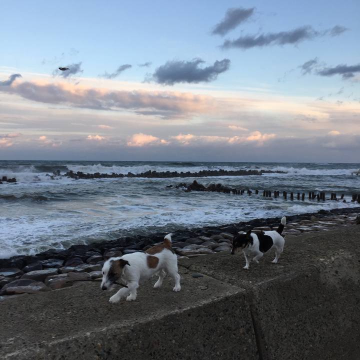 Baea8944 0a60 4086 bf29 bdf41e93d42d