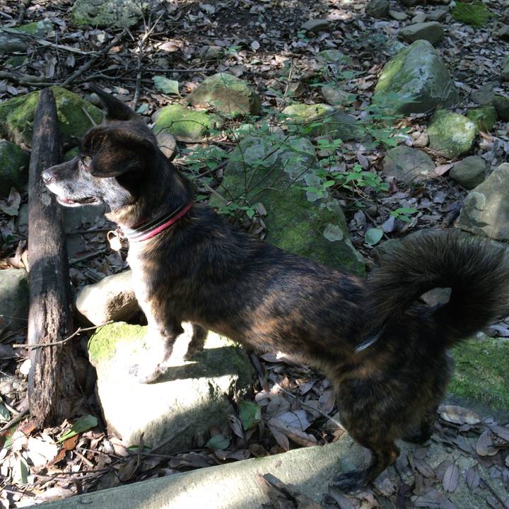 Baeb422f d528 40a0 b0ee f2f5f0fdbf1b