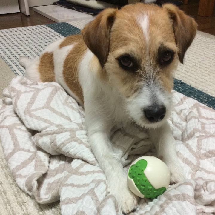 Baeb4ccc 998f 4e2a 9801 4f9aae870043