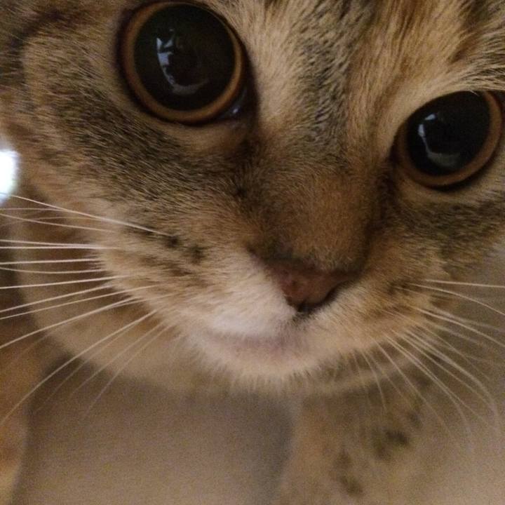 Baebbfbf 1bb4 4514 9411 65744c4394d4