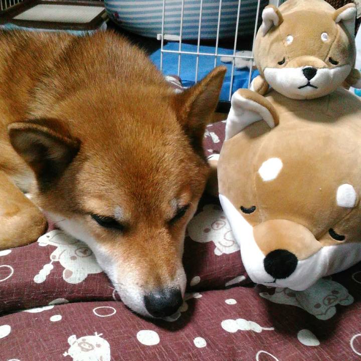 Baebccdf ea7a 4051 aac7 37f904d72da3