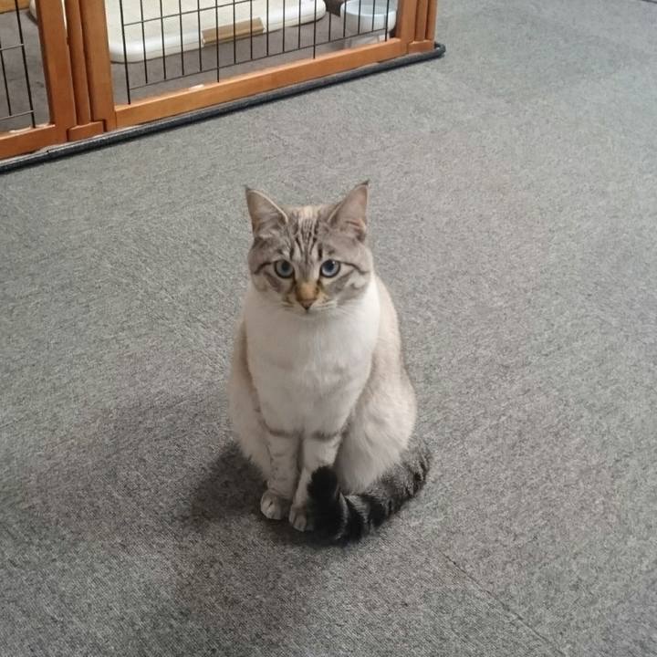 Baebd1d1 35cb 42b2 9bf1 e8b9074036f9