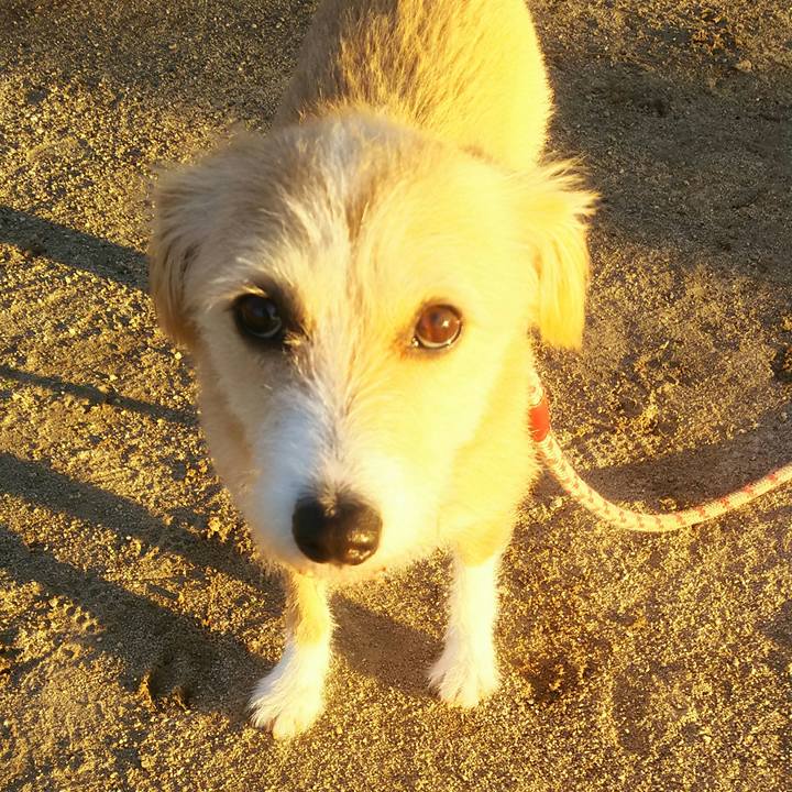 Baebd600 6978 465a bd7c c83e11b5f75c