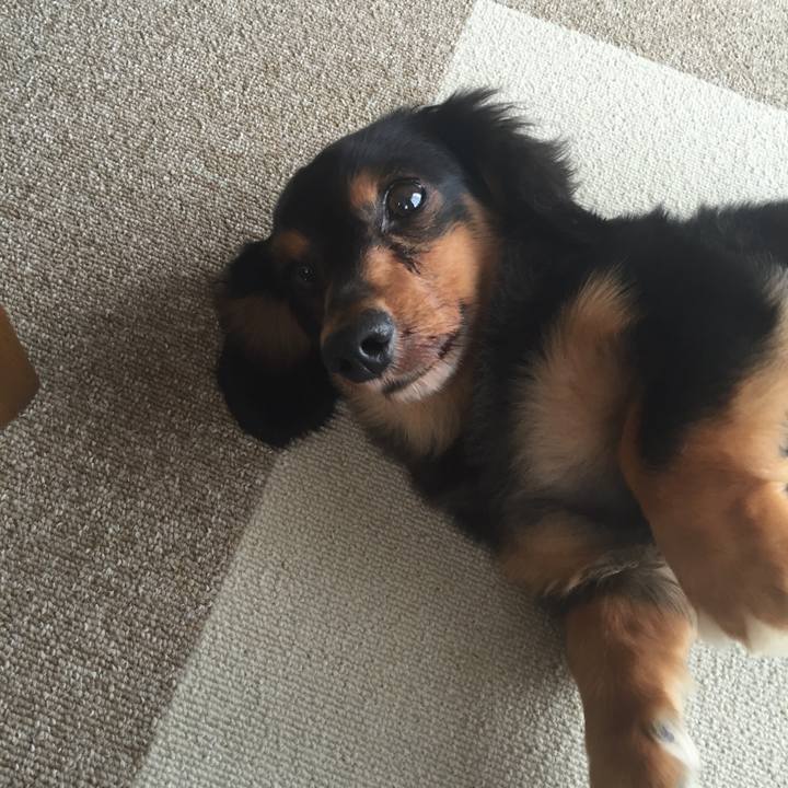 Baecc573 0660 4013 ba08 603527acd1c5