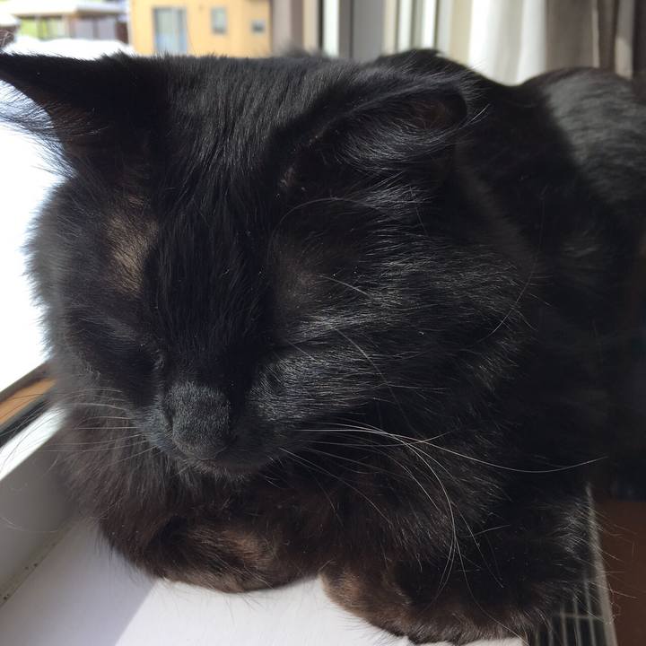 Baed87e2 7a6c 450f 8845 0889ac43bcbb