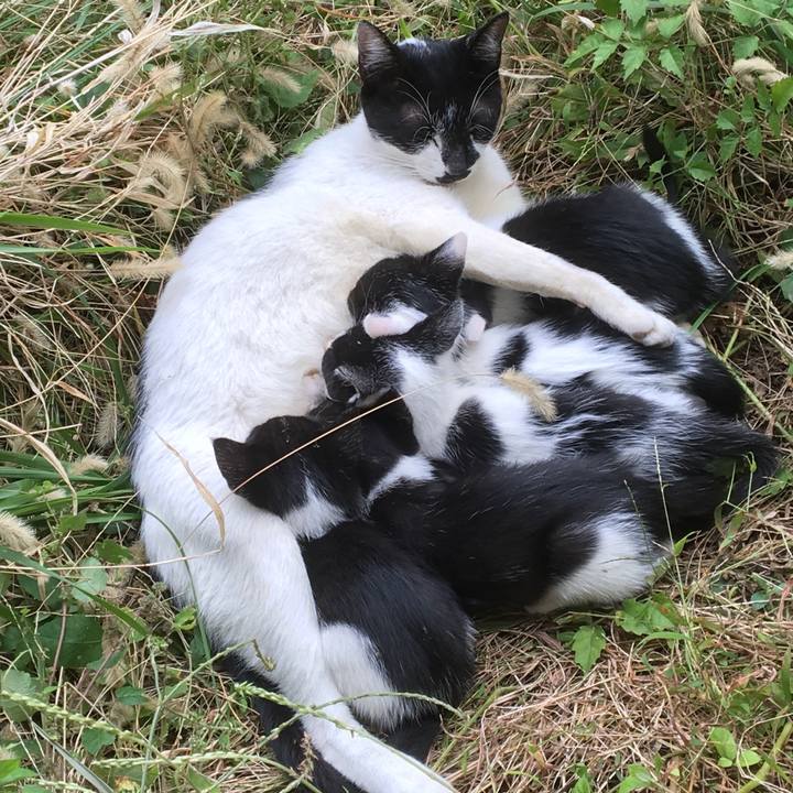 Baee1085 e4e3 412c 9e81 1b067ea91810