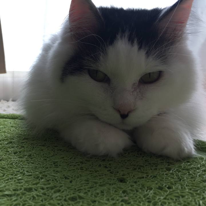 Baee2a80 7948 4f5f b3ea 8d0dc1988986