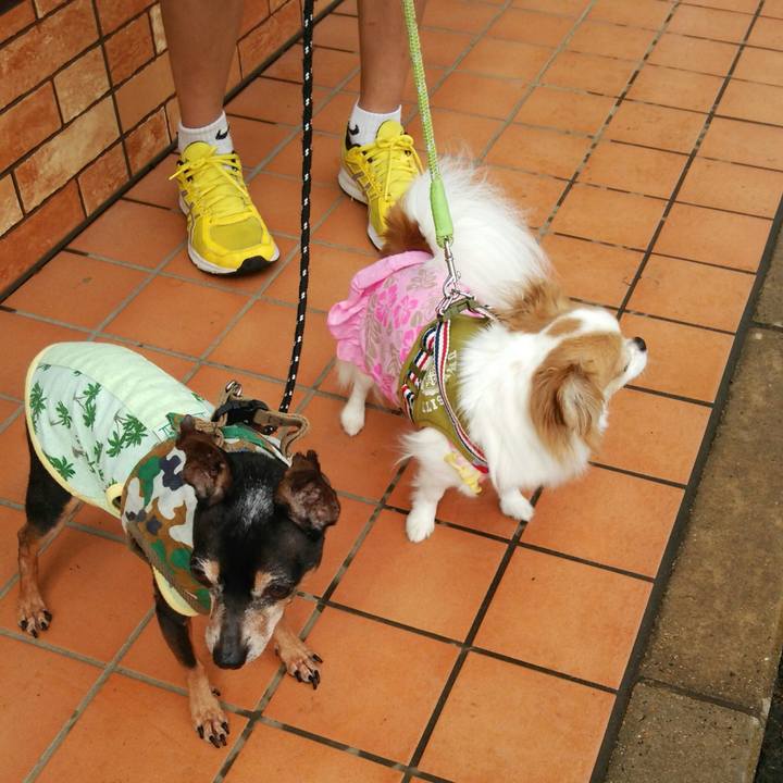 Baee5d6a 7dd1 465b a824 2b61dad4ab3e