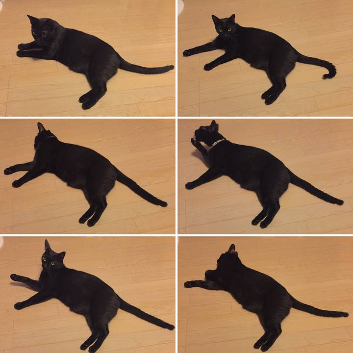 Baee7ef2 8982 4d36 bacd b7c1cd9454e4